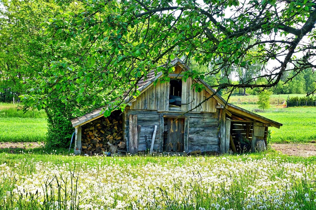 Barn and wood stored together is not good